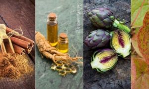 Best Natural PDE5 Inhibitors